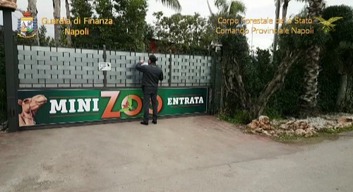 Napoli, sequestrato Zoo abusivo