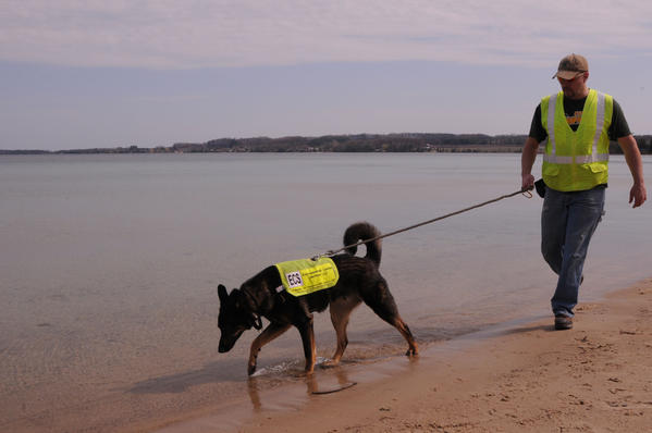 Cani amici dell'ambiente: l'olfatto per monitorare lo stato delle acque