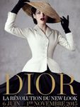 Dior - New Look Revolution