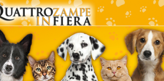 QuattroZampeinFiera 2016 a Padova, Milano e Napoli QuattroZampeinFiera