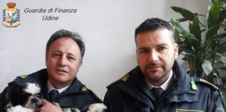 Udine, scoperto traffico autostradale illegale di cuccioli traffico illegale cuccioli
