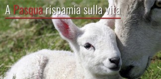 Pasqua cruelty free con il menù alternativo della Lega del Cane A Pasqua risparmia sulla vita