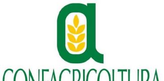 Agricoltura, Confagricoltura: “Bene la normativa sulla Multifunzionalità” Logo Confagricoltura