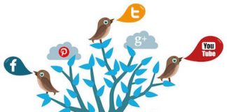 Social network, nuove professioni per lavorare e guadagnare online Social network, nuove professioni per lavorare e guadagnare online