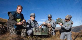 Bracconieri: calano i reati o si estinguono i controllori? Forestale bracconaggio bracconieri
