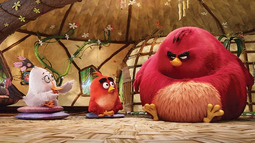 Angry-Birds scena film