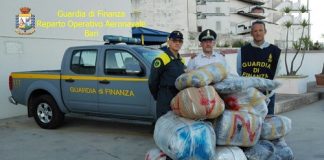Brindisi, sequestrato oltre un quintale e mezzo di stupefacente Bari, sequestrato oltre un quintale e mezzo di stupefacenti