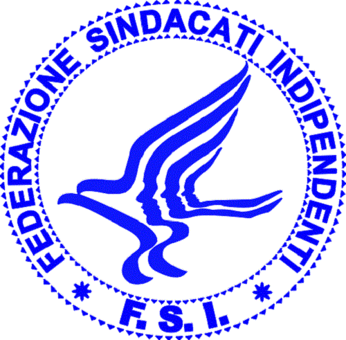 FSI-logo