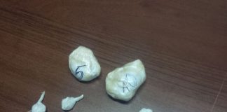 Cocaina dal Messico a Livorno, in 7 vanno in carcere