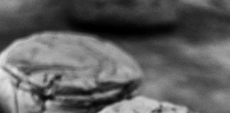 Arte contemporanea, a Palermo la presentazione di “Istanze”