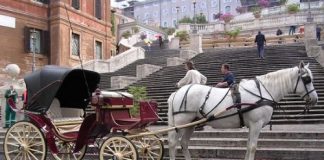 LNDC chiede l’abolizione delle carrozze trainate dai cavalli Carrozza con i cavalli