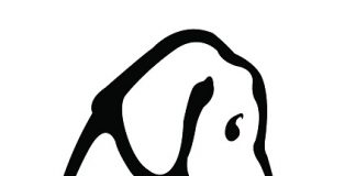 Terremoto: LNDC al tavolo di lavoro presso il DICOMAC Lega Nazionale per la Difesa del Cane