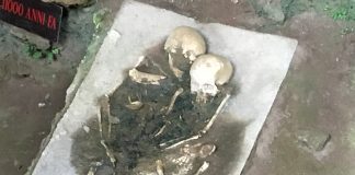 Calabria, nel geosito della Grotta del Romito il cranio di un bambino risalente al Paleolitico