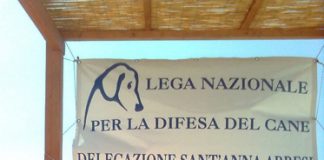 Porto Pino (CI), una spiaggia per gli amici a 4 zampe cagnolino spiaggia