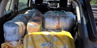 Como, sequestrati 800 chilogrammi di marijuana sequestro droga a Como