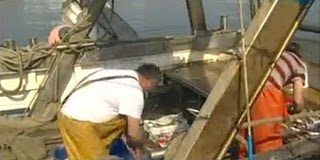 Fermo pesca fino al 26 settembre