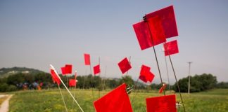 “Il Sogno Verde” arriva a Napoli dal 10 settembre al 1 ottobre il sogno verde