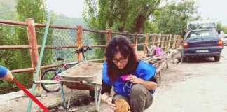 Terremoto del centro Italia: LNDC in prima linea sul campo LNDC