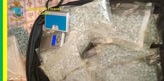 Latina, interventi antidroga: nel 2016 sequestrate oltre 100mila piante di canapa latina-lotta-agli-stupefacenti