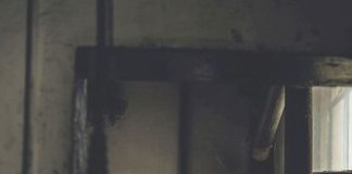 “Liga Rock Park”, 36 ore di diretta radio su Rtl 102.5 luciano-ligabue