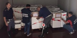 Maxi sequestro di pesce sull’autostrada Roma-Civitavecchia roma-maxi-sequestro-pesce