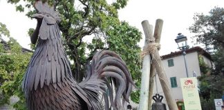 Rural Festival 2016: la biodiversità conquista anche la Toscana rural-festival-toscana