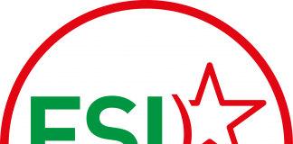 Referendum Costituzionale, Fronte Sovranista Italiano: “Ripristinare propaganda elettorale indiretta”