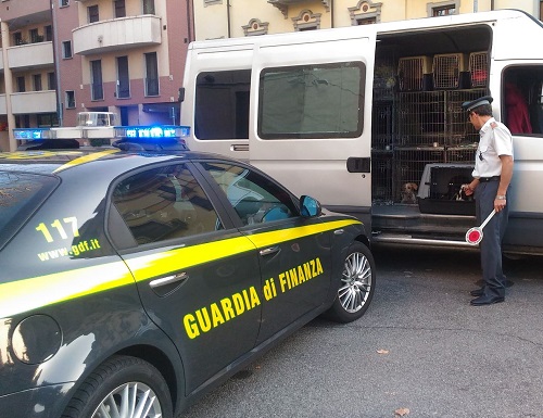 novara-bloccato-traffico-illecito-cuccioli