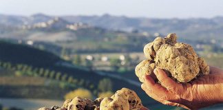 Dal 22 ottobre torna l’appuntamento con Volterragusto
