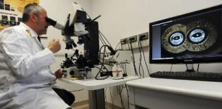 Roma al via il 23° meeting di esperti di balistica e armi scientifica-balistica