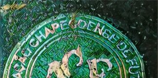 Quando ormai si vola non si può cadere più Chapecoense. Quando ormai si vola non si può cadere più