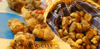 Aperta la Mostra Mercato del Tartufo Bianco a San Giovanni d’Asso tartufo-crete-senesi