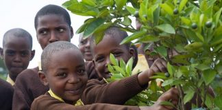 Giornata nazionale dell’albero: Oikos rilancia la campagna “Un frutto al giorno” un-frutto-al-giorno