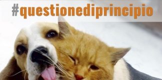 LNDC rilancia #questionediprincipio: farmaci per animali a costi accessibili questionediprincipio-2016