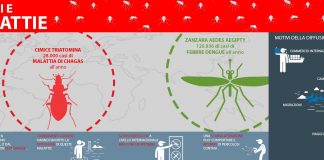 Sono tanti gli infestanti esotici nelle mete di viaggio preferite dagli italiani per l’inverno Sono tanti gli infestanti esotici nelle mete di viaggio preferite dagli italiani per l'inverno