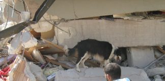Ricostruzione, Legnini: “Ricognizione sui fondi per le macerie” ricerca-di-persone-sepolte-dalle-macerie