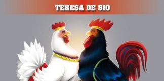 “Teresa canta Pino” dal 13 gennaio l’ultimo disco di Teresa De Sio Teresa canta Pino_cover_b