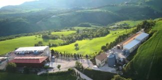 Cooperativa Giromoloni: agricoltura biologica con Dolomiti Energia cooperativa-girolomoni