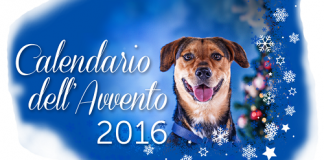 Gaia Animali & Ambiente Onlus presentano il Calendario dell’Avvento calendario dell'avvento