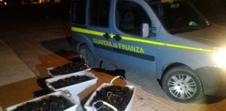 Civitavecchia, sequestati oltre 10mila ricci di mare: multati i responsabili Civitavecchia, sequestro Ricci di mare