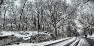 Maltempo, neve anche a quote basse nel Centro-Sud con venti forti central-park neve