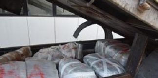 Lecce: arrestato 41enne trovato in possesso di un quintale di marijuana