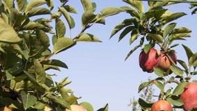 Dal 1° giugno fuori norma i prodotti chimici le cui confezioni indichino i vecchi simboli di pericolo e non i nuovi