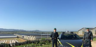 Sassari, energie rinnovabili: scoperta truffa aggravata per conseguire erogazioni pubbliche Sassari scoperta truffa erogazioni pubbliche