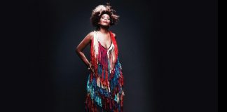Macy Gray, Steve Winwood e Charlie Musselwhite al Pordenone Blues Festival