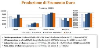 Grano duro: in Italia si prevedono semine in calo Grano duro: in Italia si prevedono semine in calo