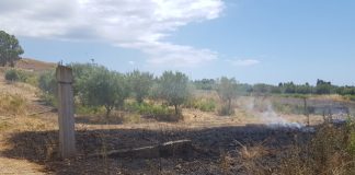 Crotone, appiccavano diversi focolari: arrestati due piromani piromani a Crotone