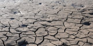 Emergenza Siccità, estate 2017: il parere dei geologi siccita