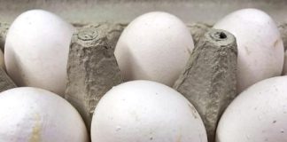 Pasqua 2021, Confagricoltura su patrimonio uova prodotte in Italia Uova