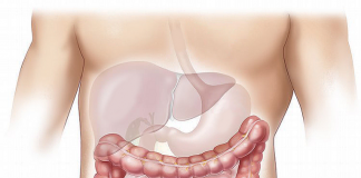 Distrurbi intestinali post vacanze: cause, consigli e rimedi degli esperti intestino